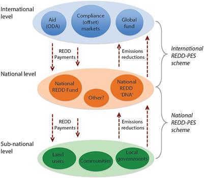 REDD+ in Theory and Practice: How Lessons From Local Projects Can Inform Jurisdictional Approaches